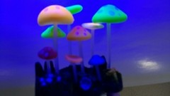 Enfeite Aquário Cogumelos Coloridos Fluorescentes na internet