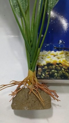 Planta Artificial Seda Aponogeton 36cm Tetra - Bixo D'Agua