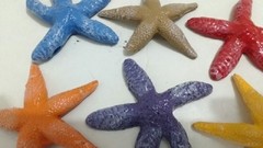 Enfeite Aquário Estrela do Mar Color - 6 unidades na internet