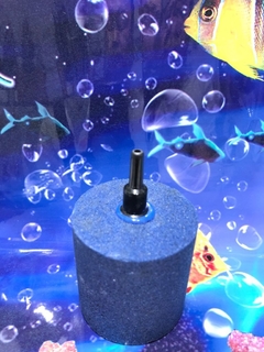 Pedra Porosa Aerações Aquário Lago 5 X 5cm 4/6/8mm - comprar online