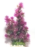 Planta Artificial Plastica Aquário Lago Ninfeia Rubra 30cm