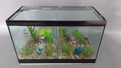 Aquário mini Beteira Dupla 3,6lts - Decorado