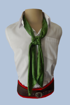 LENÇO TRADICIONAL VERDE BANDEIRA TRAMA CLÁSSICA