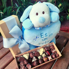 Es una beba! o Es un bebé! - comprar online