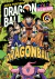 DRAGON BALL COLOR: SAGA MAJINBOO 06