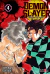 DEMON SLAYER - KIMETSU NO YAIBA 04 REEDICION - comprar online