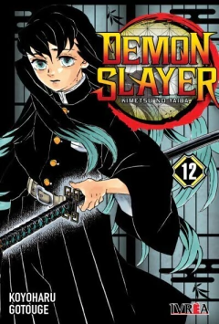 DEMON SLAYER - KIMETSU NO YAIBA 12 - comprar online