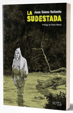 LA SUDESTADA