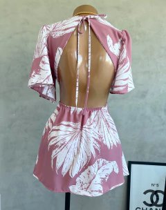 Macaquinho Samantha na internet