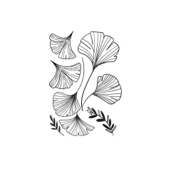 Looma Vinilos Ginkgo