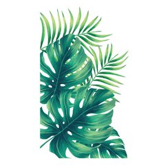 Looma vinilos pack hojas tropicales