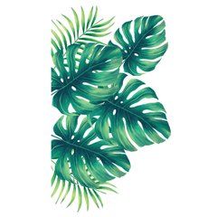 Looma vinilos pack hojas tropicales