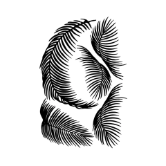 Palmar - comprar online