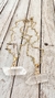 COLLAR REVOIR - comprar online