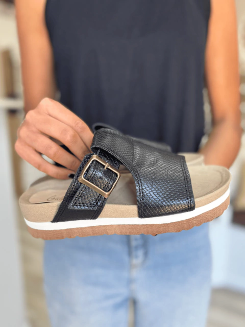 019 - comprar online