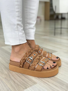 66 CLARA en internet