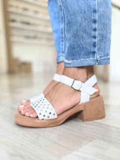 2050 taco 5 cm na internet