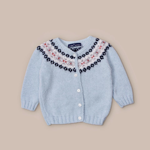 Campera guarda celeste