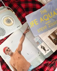 Remera The Life aquatic en internet