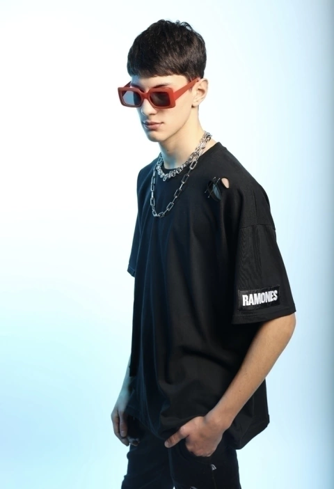 Remeron Pet Sematary (intervenida)