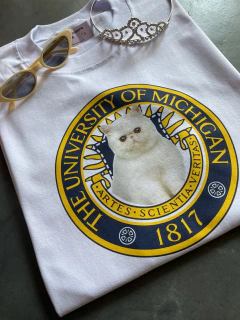 Remera Michigan - comprar online