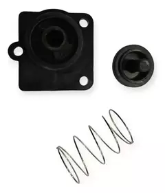 Kit De Reparacion Para Bomba Presurizadora Shurflo 4008 - comprar online