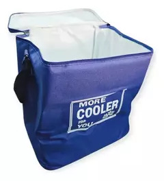 Bolso Térmico 15 L en internet