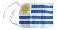 Bandera Uruguaya 30x45 Cm