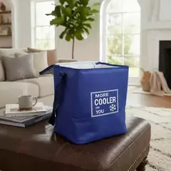 Bolso Térmico 8.5 L en internet