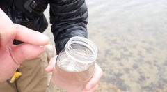 Polvo Potabilizador De Agua Para 10 Litros en internet