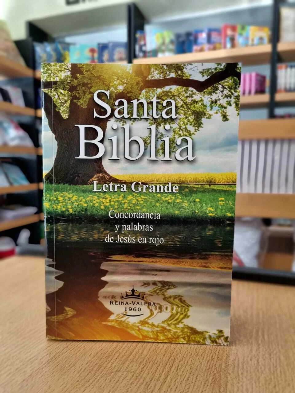 BIBLIA REINA VALERA LETRA GRANDE ECONOMICA