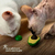 Catnip - Hierba gatera Palta con adhesivo - tienda online