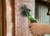 Destapador para pared!