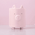 Maceta chancho