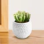 Maceta panal redonda - comprar online