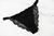 VEDETINA OBSESSED BLACK