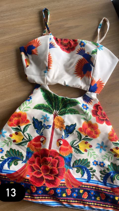 Macaquinho Izadora na internet