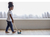Paseador Caminador Infantil Arrastre Perro Madera Plan Toys