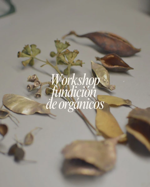 Workshop de Junio - Fundición de Orgánicos / Nativas