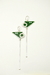 925 Sterling Silver Earrings - Green Geometric Pendulums