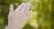 Banner de Maldonado Joyas