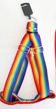 ARNES AJUSTABLE TALLE XXL (PERROS GRANDES ANCHO 4 CM) - Almacén de Perros - Envíos a todo el país.