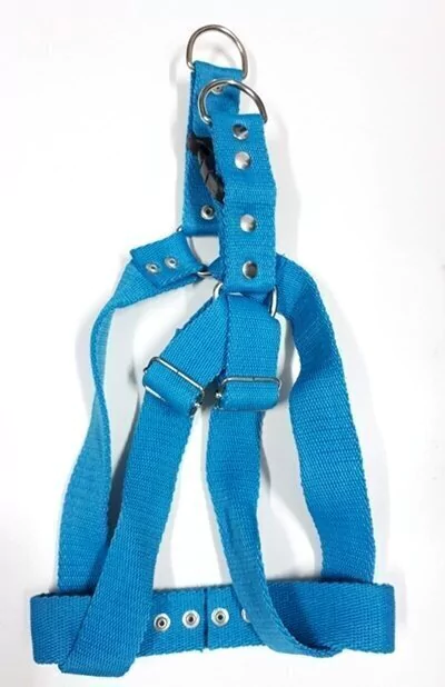 ARNES AJUSTABLE NYLON AZUL (TALLE S )