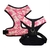 ARNÉS NEOPRENE CAMUFLADO ROSA Y FUCSIA (VARIOS TALLES)