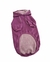 BUZO CON CAPUCHA CONVERSE VIOLETA (VARIOS TALLES) - Almacén de Perros - Envíos a todo el país.