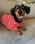 SWEATER WAFLE ROJO (VARIOS TALLES)