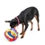 PELOTA OLFATIVA DE TELA PARA PERROS Y GATOS en internet