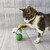 PELOTA VAIVEN CON RATITA - comprar online