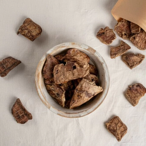 PULMÓN DESHIDRATADO - comprar online