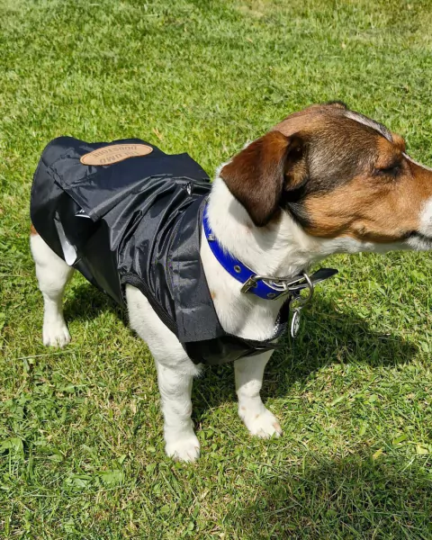 ROMPEVIENTOS IMPERMEABLE POCKET NEGRO (VARIOS TALLES)